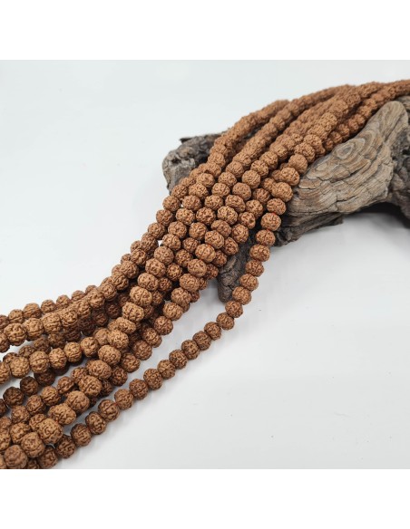 Graines Rudraksha Bodhi Shiva 6 mm