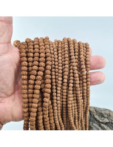 Graines Rudraksha Bodhi Shiva 2