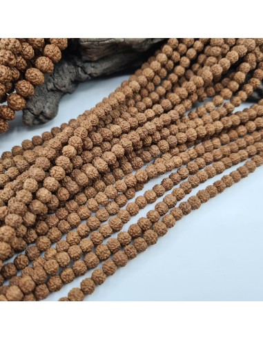 Graines Ru 3draksha Bodhi Shiva