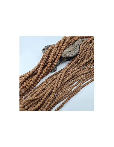Graines Rudraksha Bodhi Shiva 4